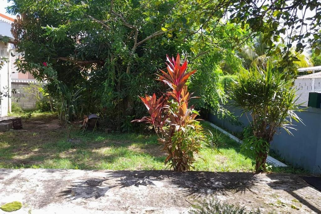 La Petite Maison, Spacieuse, Avec Jardin / Parking Sainte-Rose Luaran gambar